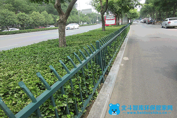 这是在我们日常的慢车道上最常见的一种单侧绿篱形式的绿化带
